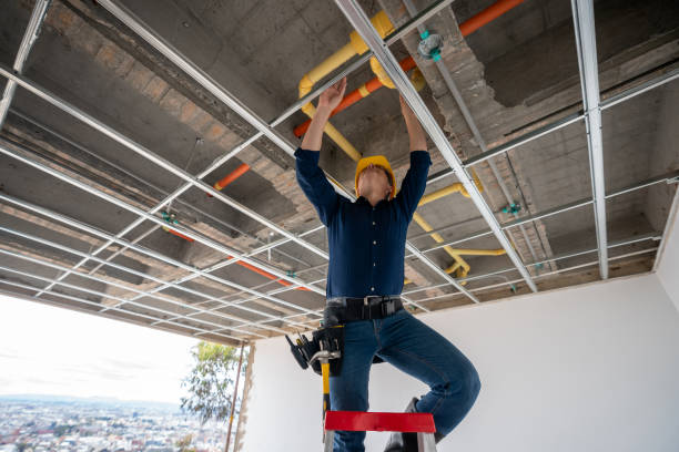 Best Water Leak Repair  in Delavan, IL