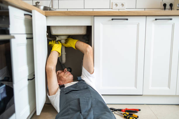 Best Local Plumber Services  in Delavan, IL