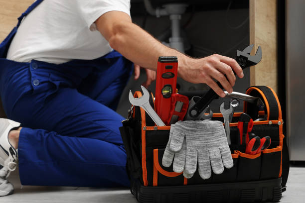 Best Residential Plumbing Services  in Delavan, IL