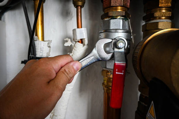 Best Clogged Drain Plumber  in Delavan, IL